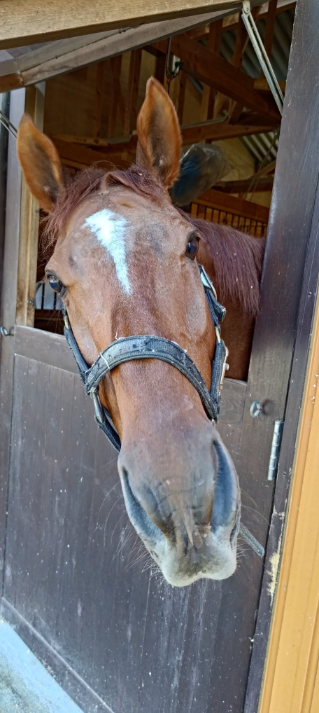 094ad7516a4e75c2895162db1a195149-1761878890.png 094ad7516a4e75c2895162db1a195149-1761878890.png